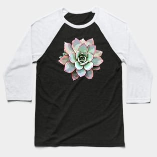 White Rose Echeveria Baseball T-Shirt